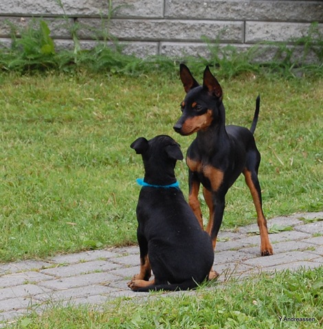 [DSC_7319%255B2%255D.jpg]