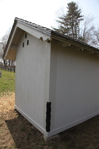Let's cover all the corners of the shed with these things.  I can't wait for the donks to discover their new itch relief.  We'll even do a blog about it!