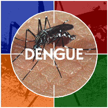 [dengue%2520fever%2520manipur%255B3%255D.gif]