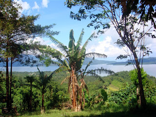 Day 2 - Tour at Buenavista Bay View, Puerto Princesa City, Palawan
