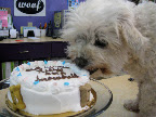 But best of all was seeing the deserving Riley get to have his cake...and eat it too! But best of all was seeing the deserving Riley get to have his cake...and eat it too!