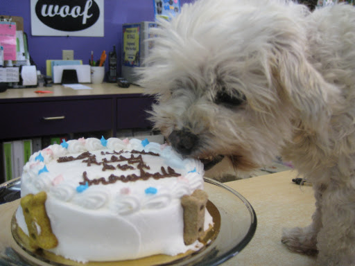 But best of all was seeing the deserving Riley get to have his cake...and eat it too! But best of all was seeing the deserving Riley get to have his cake...and eat it too!