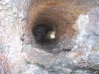 mount_st._hellens