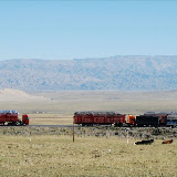 Tianshan - Camions et vaches
