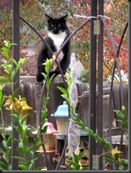 IMG_0008 IMG_0008