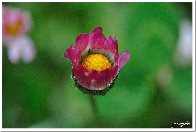 DSC_2053 DSC_2053