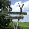 Park Narodowy "Ujście Warty": Rzeczpospolita Ptasia dsc05811.jpg