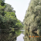 DSCN8364.JPG