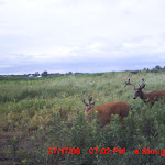 MDGC0516.JPG