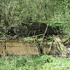 Zaskórz -ruiny młyna dsc06308.jpg