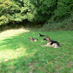Repos à l\'ombre, mais on reste attentifs!
