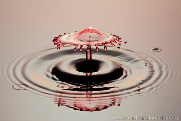 liquid-drop-art-gotas-caindo-foto-velocidade-hora-certa-desbaratinando (23) liquid-drop-art-gotas-caindo-foto-velocidade-hora-certa-desbaratinando (23)