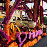 IMGP1382.JPG