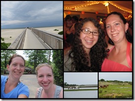 June 2011 review1