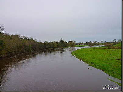 P1120417 P1120417