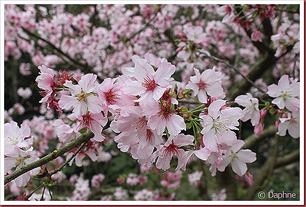 IMG_2331 IMG_2331