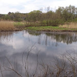 Gaszczyk_03.JPG