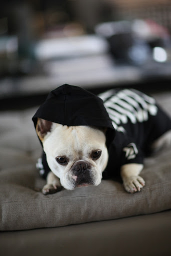 And Sharkey chose this glow-in-the-dark skeleton costume.