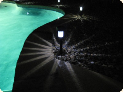 IMG_3463 IMG_3463