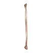 Fibula_left_female.jpg