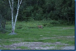 IMG_0991 IMG_0991