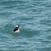 P1110467