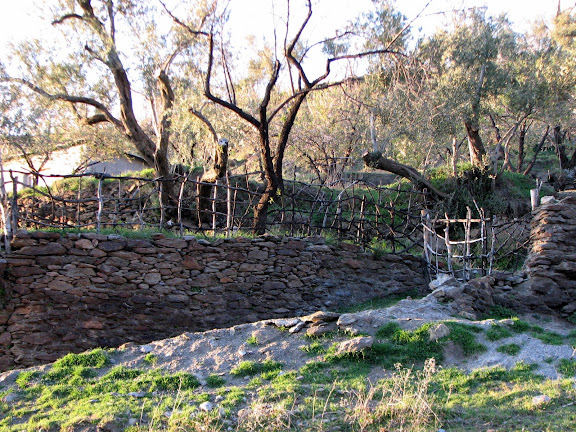 Cool fencing made from found branches