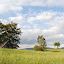 zywieciwisla5_20070904_1430093587.jpg