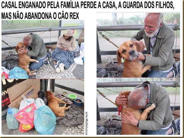 casal_cao casal_cao