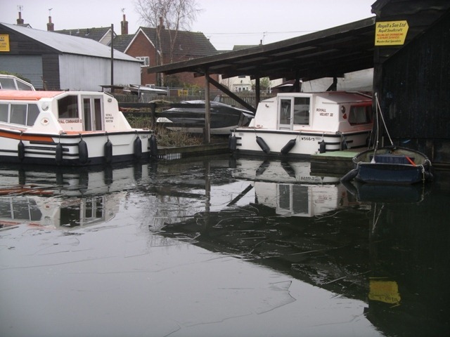 IMGP1642