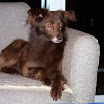 karim_sofa_1.jpg