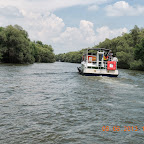 DSCN7156.JPG