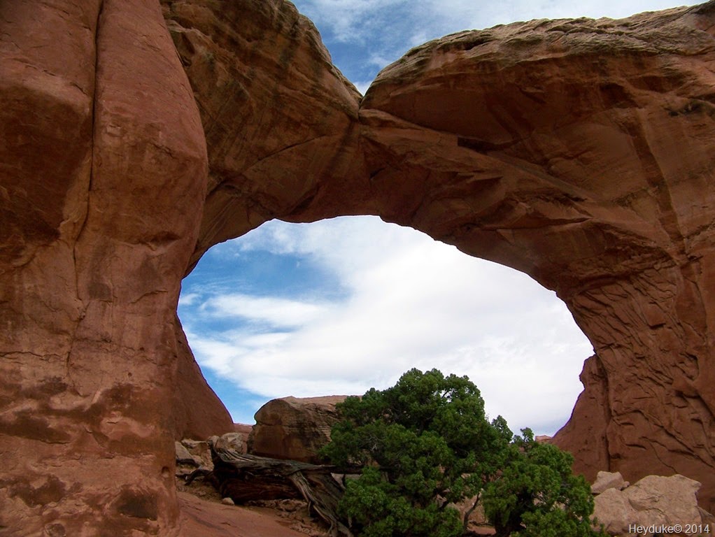 [ABQ%2520COLO%2520and%2520Arches%2520NATL%2520Park%2520139%255B6%255D.jpg]