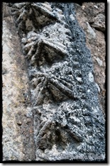 Arganza (4)
