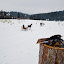 farsang_homorod-2901.jpg