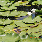 DSCN8276.JPG