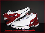 azg og 1stgame6 8 Nike Air Zoom Generation First Game Gold Swoosh Sample