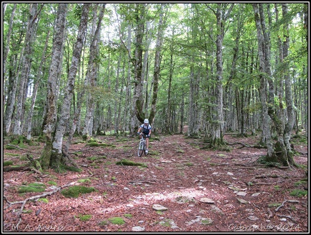 btt urbasa 155 btt urbasa 155
