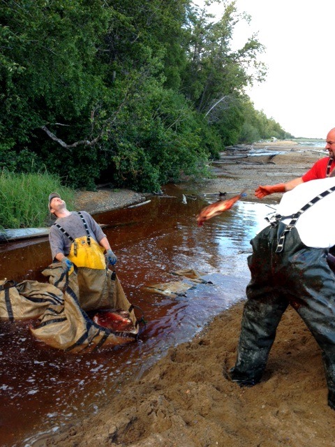 [fish_3%255B4%255D.jpg]