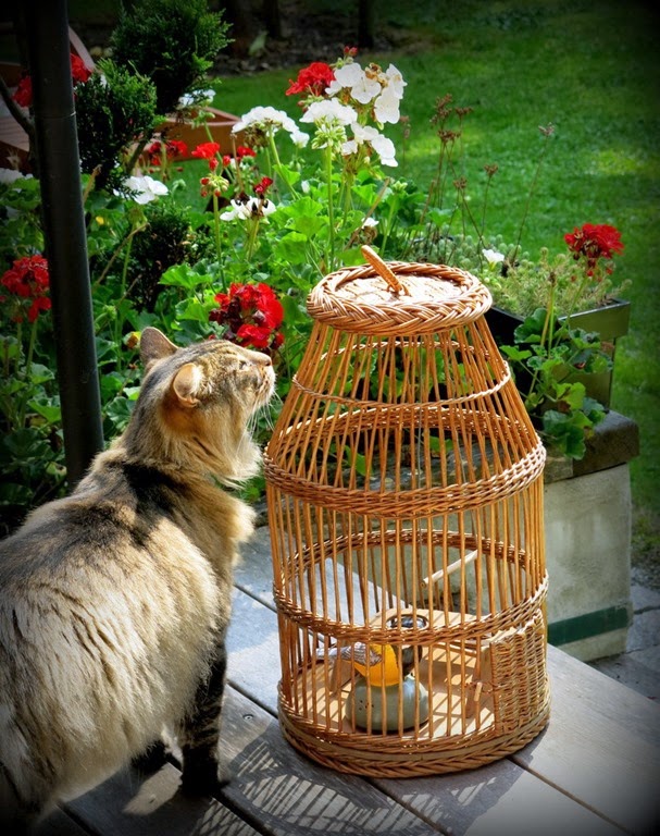 [IMG_6368%255B3%255D.jpg]