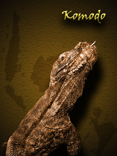[Komodo%2520Gold%255B2%255D.png]