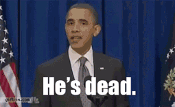 obama osama dead obama osama dead