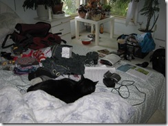 IMG_4512 IMG_4512