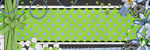 [SM-CT-Blinkie%255B2%255D.gif]
