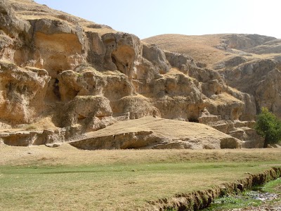 DSCN3837.jpg