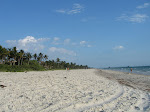 Naples Beach