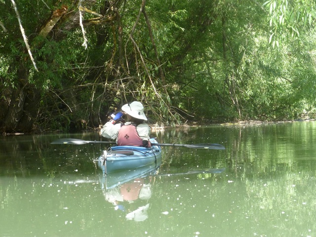 [P11108533.jpg]