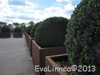IMG_8026 IMG_8026
