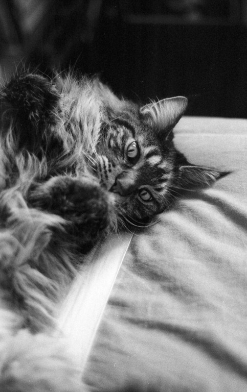 [img055b1%255B3%255D.jpg]