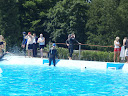 P7050933.JPG